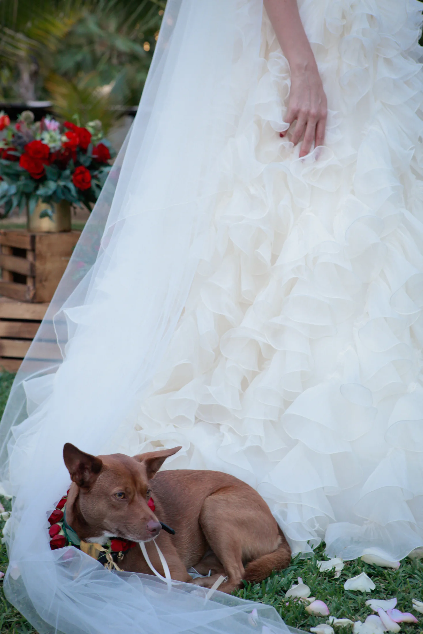 fotografía de bodas 4 de 30